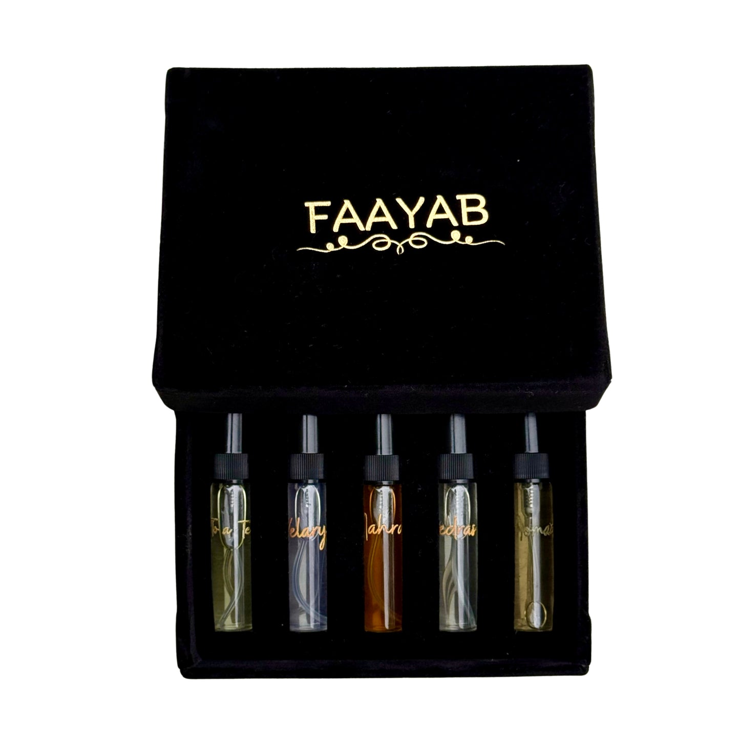 Faayab Discovery Box
