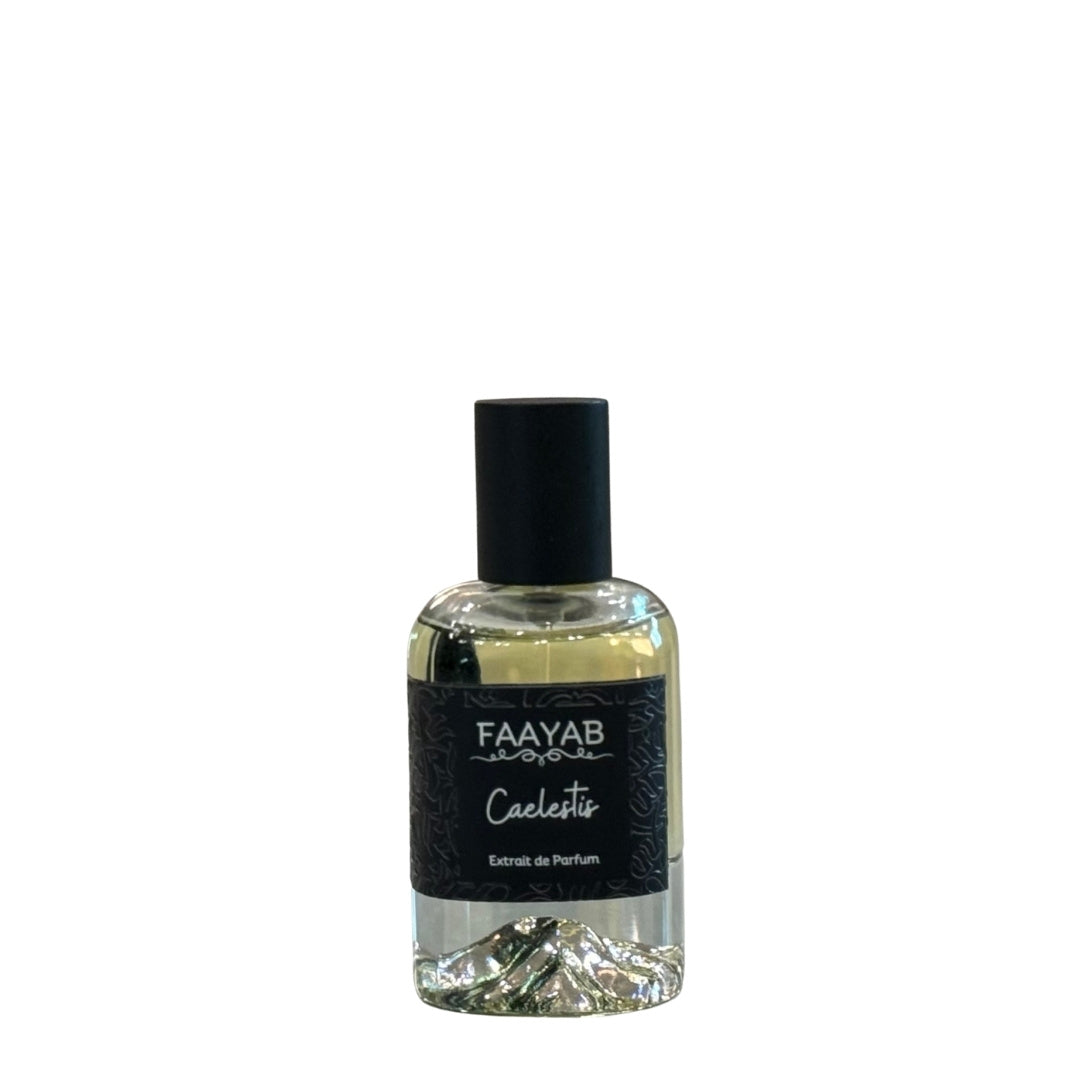 Caelestis