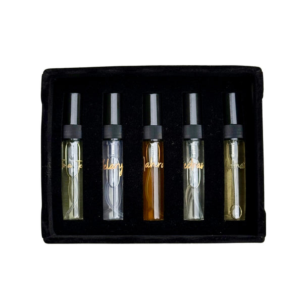 Faayab Discovery Box